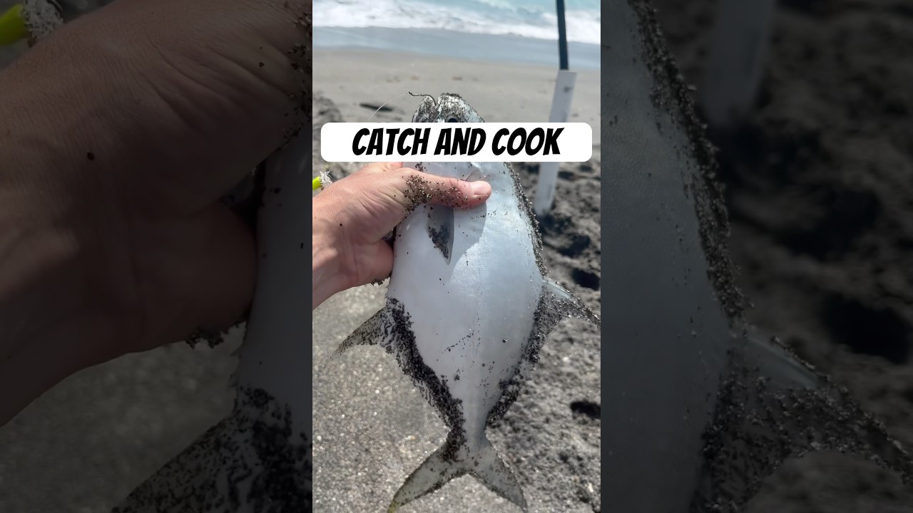 How to catch and cook a fish dinner #fishing #fish #floridafishing #surffishing #catchandcook