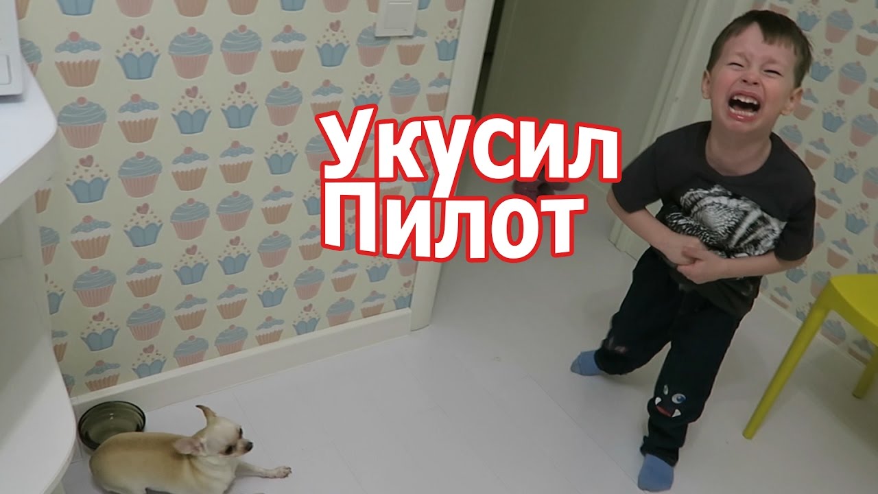 VLOG: День с папой / Детский сад дома / Клима укусил Пилот