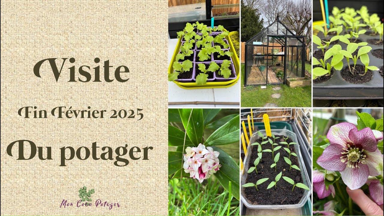 Visitez le potager et la serre à fin février et suivez l'avancement des semis.