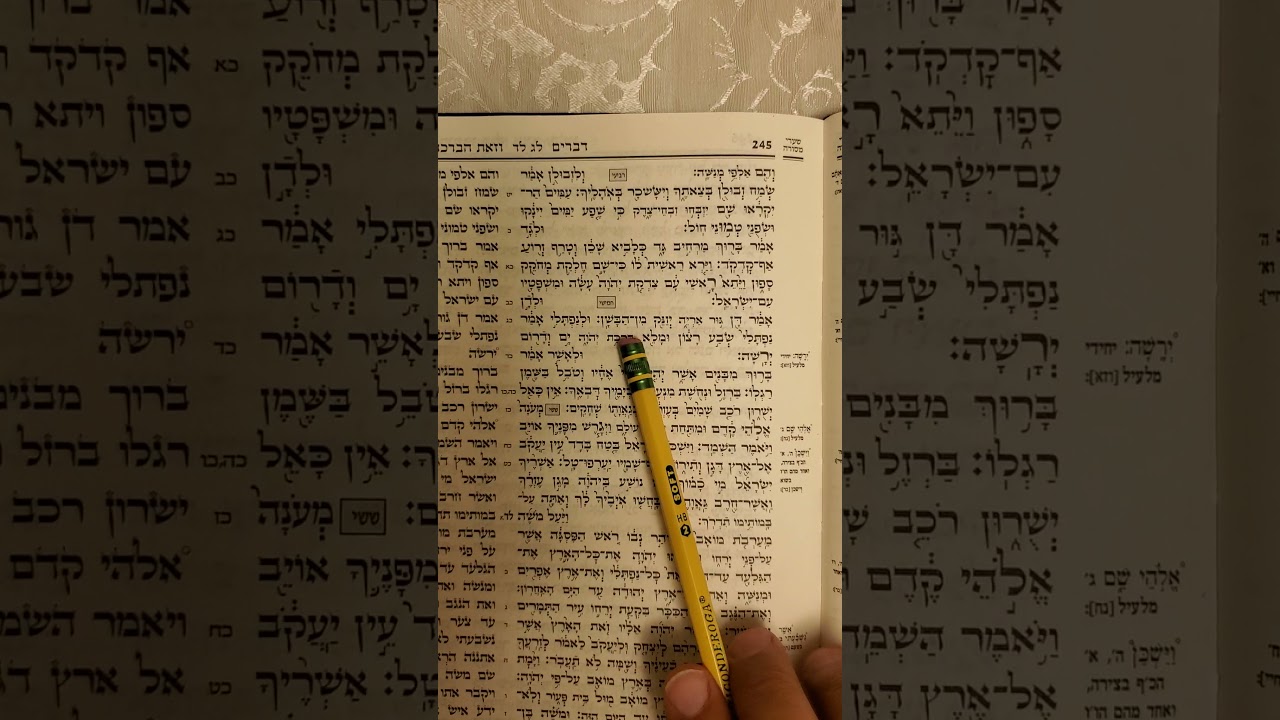 Simcha torah reading guide #5
