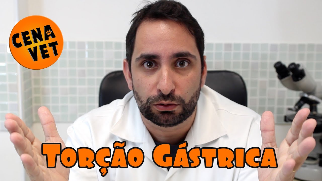 Cena Vet - Torção Gástrica - Marley & Eu - Filme