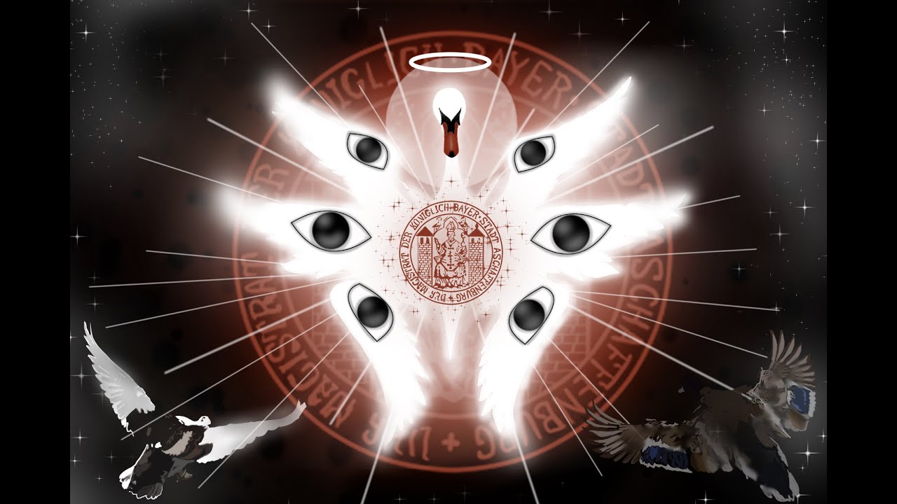 🦢3 steps to enlightenment ꒰ა 𝄞 ໒꒱ 3 Stufen zur Erleuchtung