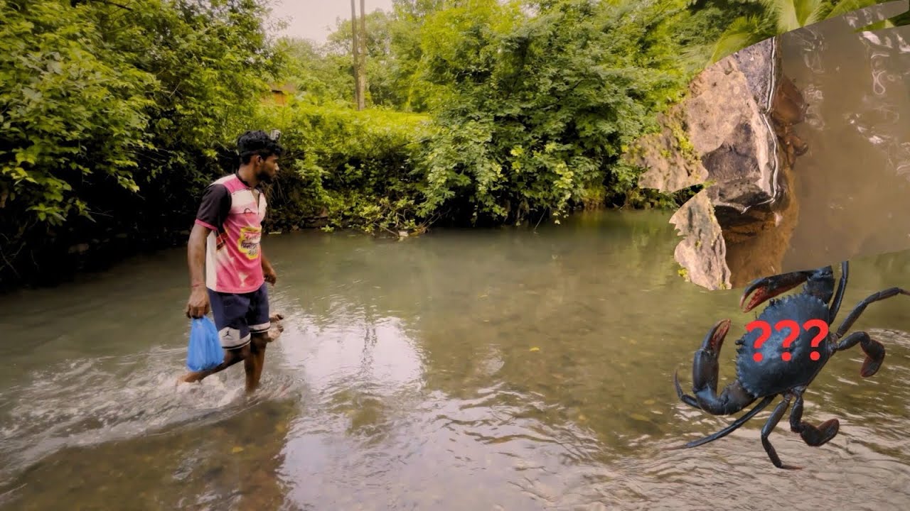 खेकडे पकडायला गेलो… एकही मिळाला नाही. | 1st Try Filed |But Nature Experience Solid! | Part 01