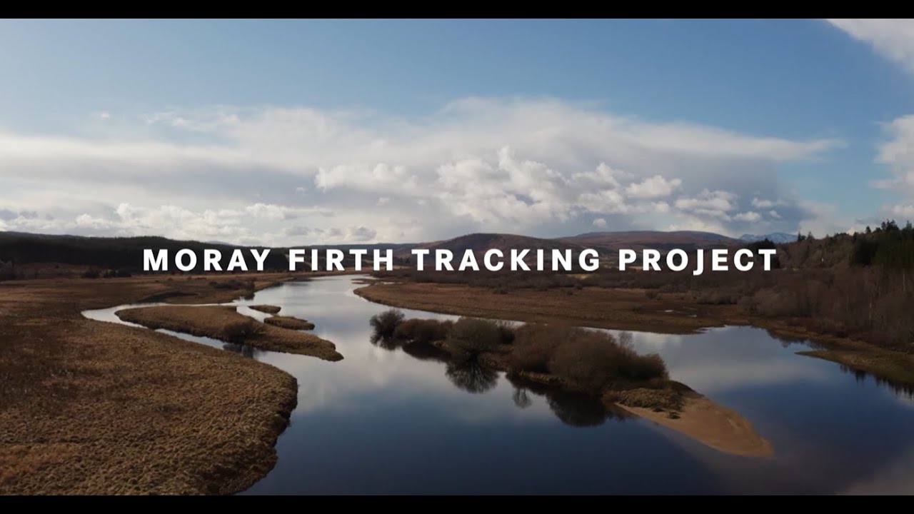 Moray Firth Tracking Project - Early Findings from Years 2 & 3
