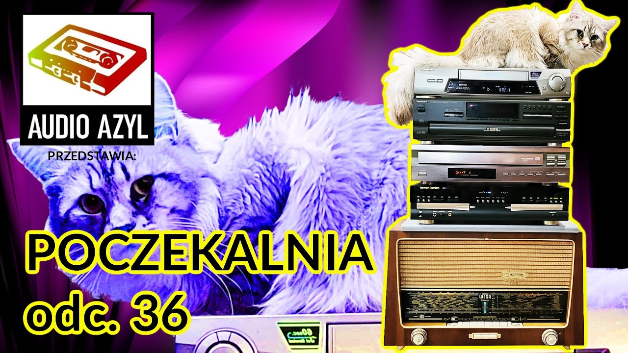 Nowa dostawa eksponatów  - Audio Azyl: Poczekalnia 36 #Vintage #audio #PRL #HiFi