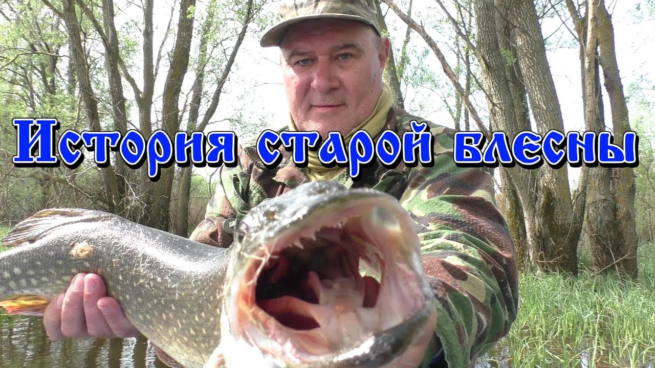История старой блесны