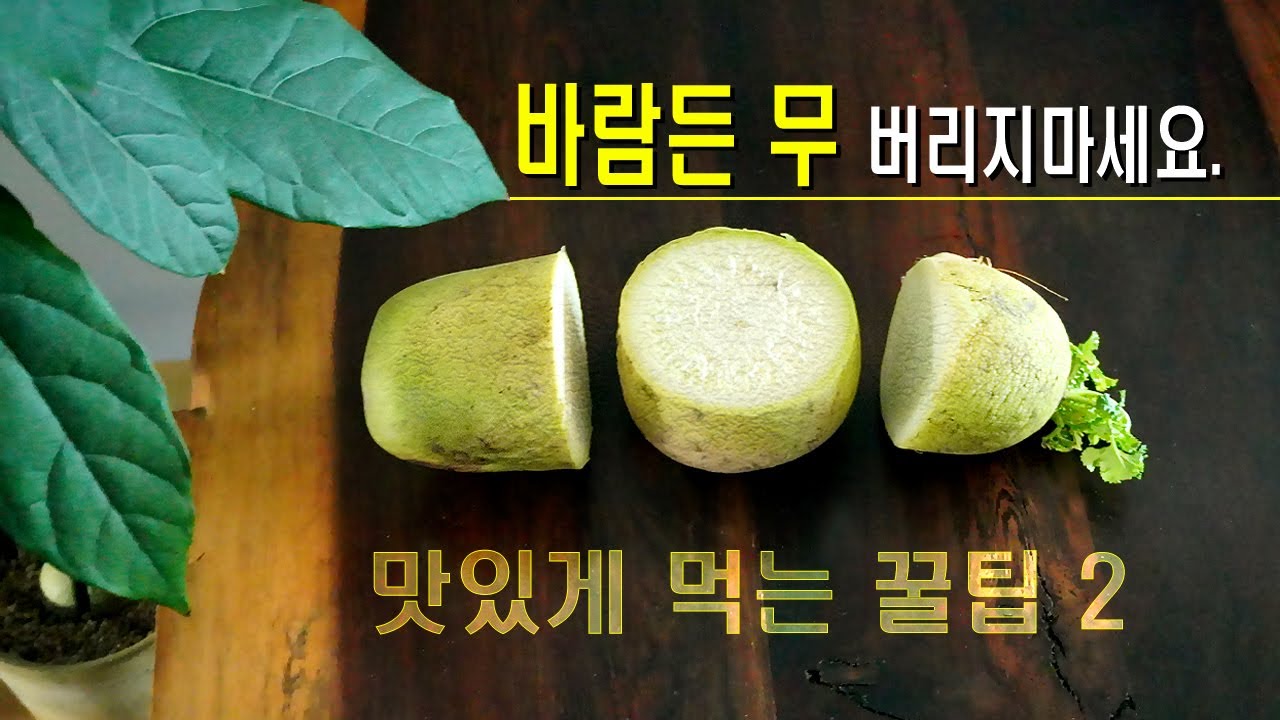 바람든 무 버리지마세요/음식물 쓰레기 줄이는 맛있는 살림팁/바람든 무 활용법 2가지/무밥,무생채