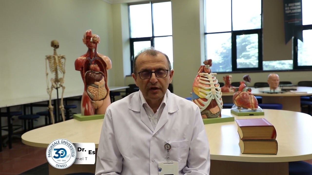 Tıp Fakültesi- Temel Tıp Bilimleri Bölümü