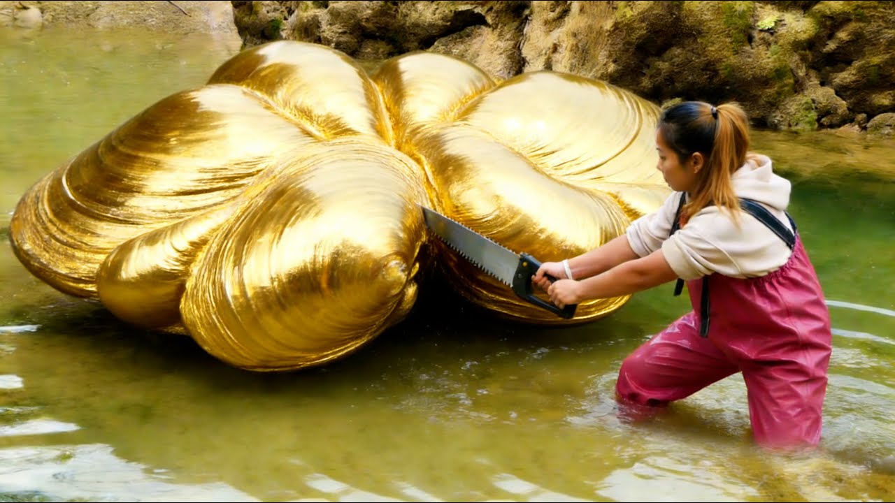Discovering a special mutated giant golden clam and harvesting a unique and enchanting noble pearl