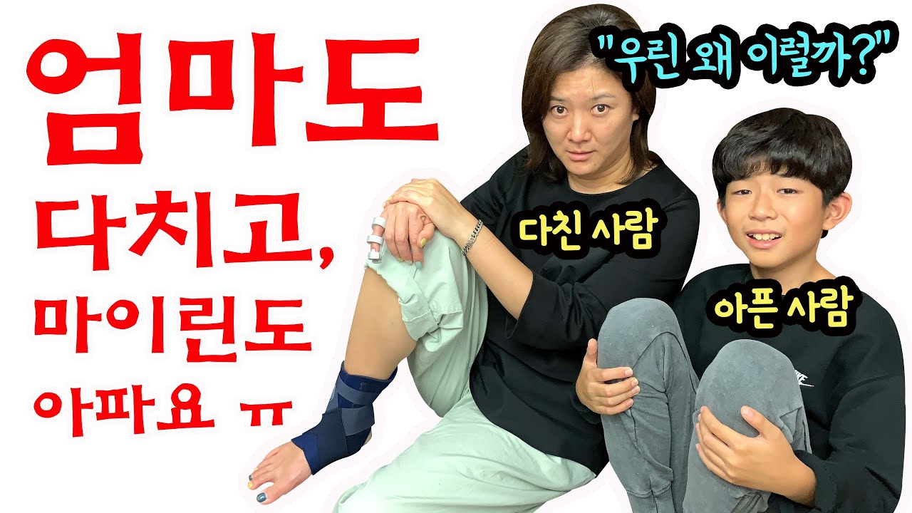 우리집 어떡해요 ㅠㅠ 엄마도 다치고, 마이린도 많이 아파요 (아프고 다친 거 모두 고백합니다) 마이린 TV