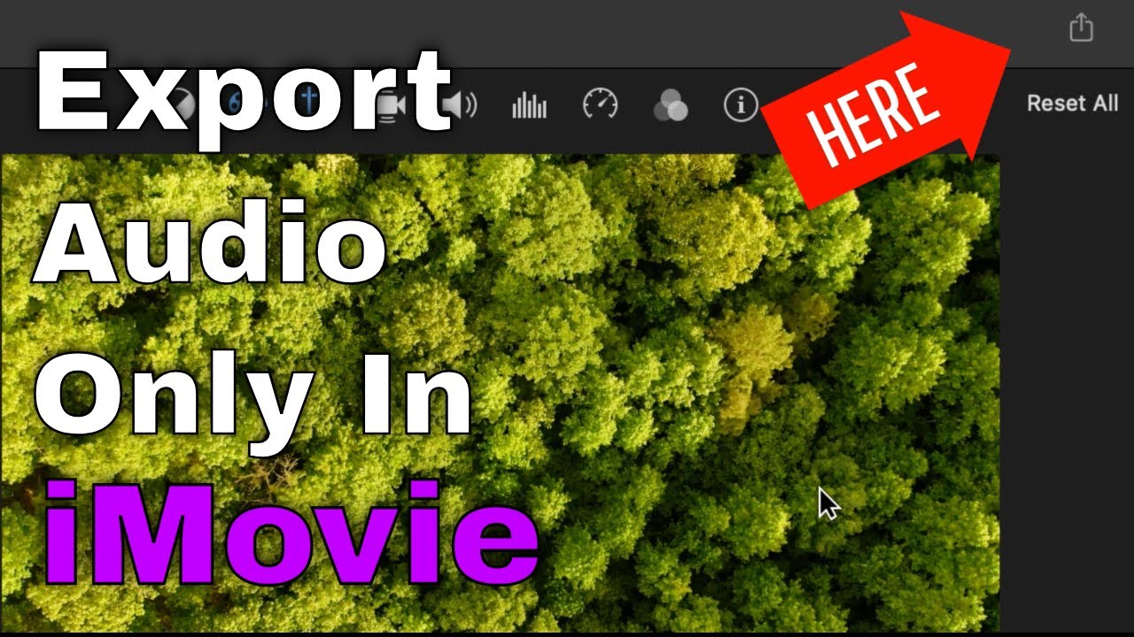 Export Audio Only in iMovie 2023 | AIFF, MP3, WAV
