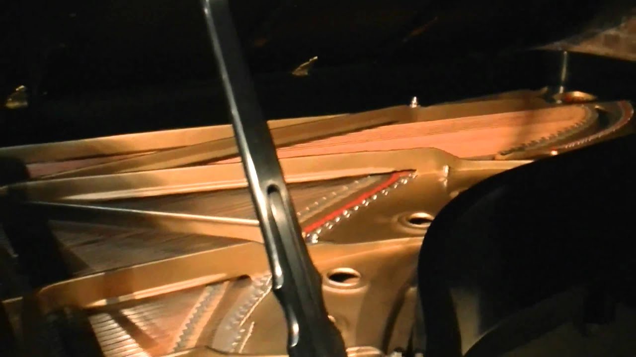 Steinway D Concert Grand Piano at Michelle's Piano in Portland Or