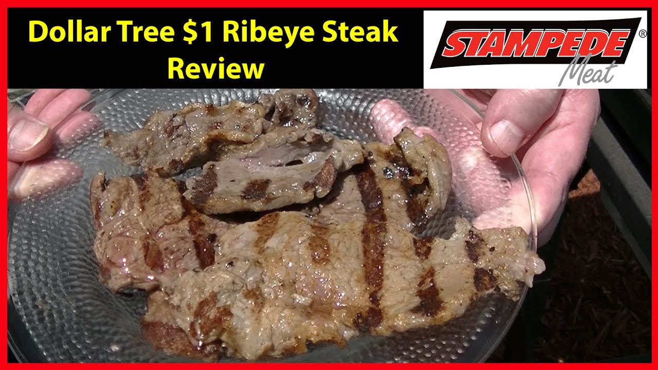 Dollar Tree $1 Rib Eye Steak Cook and Review | JKMCraveTV
