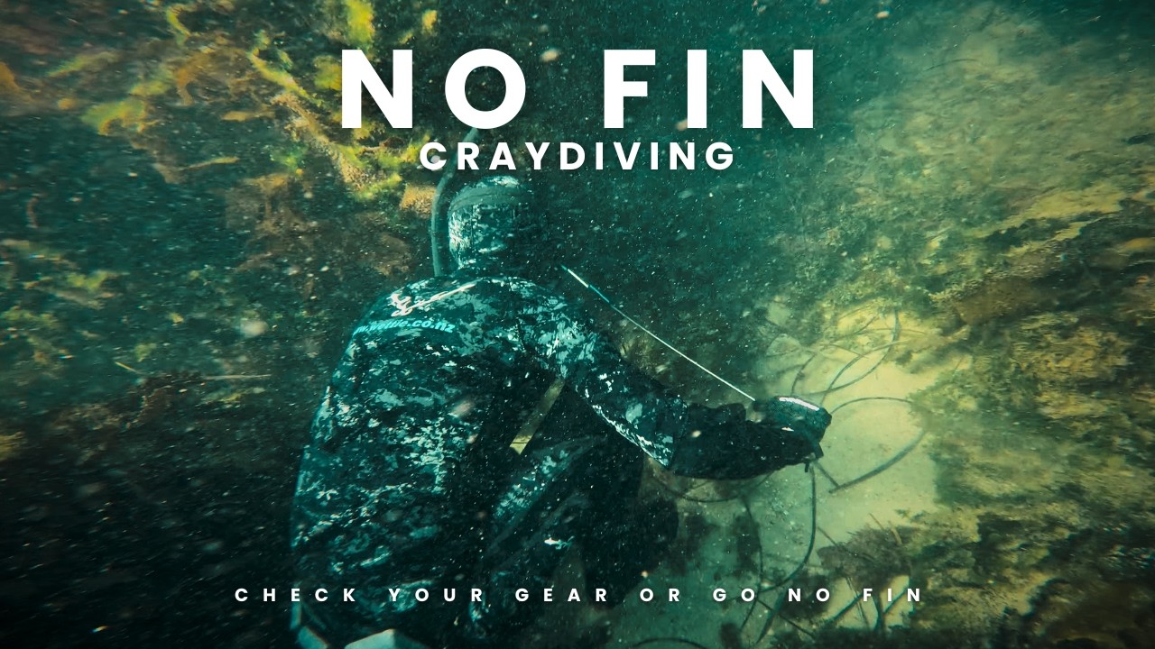致敬忘帶蛙鞋還要抓龍蝦的男人 漁獵 Vlog 44｜Tribute to the Finless Cray Hunter Spearfishing Vlog 44