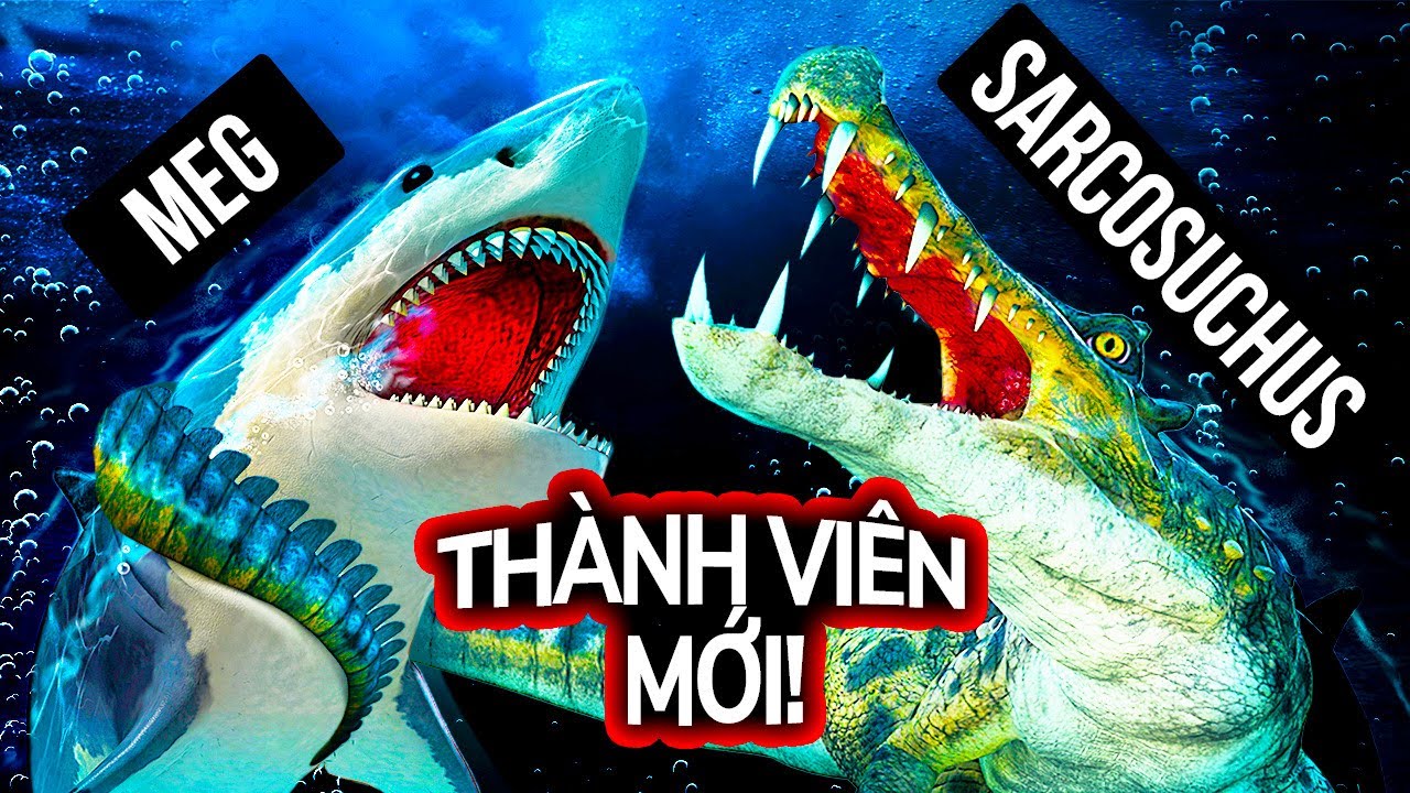 Điều Gì Sẽ Xảy Ra Nếu Megalodon Và Cá Sấu Khổng Lồ Chiến Đấu Để Thống Trị Đại Dương