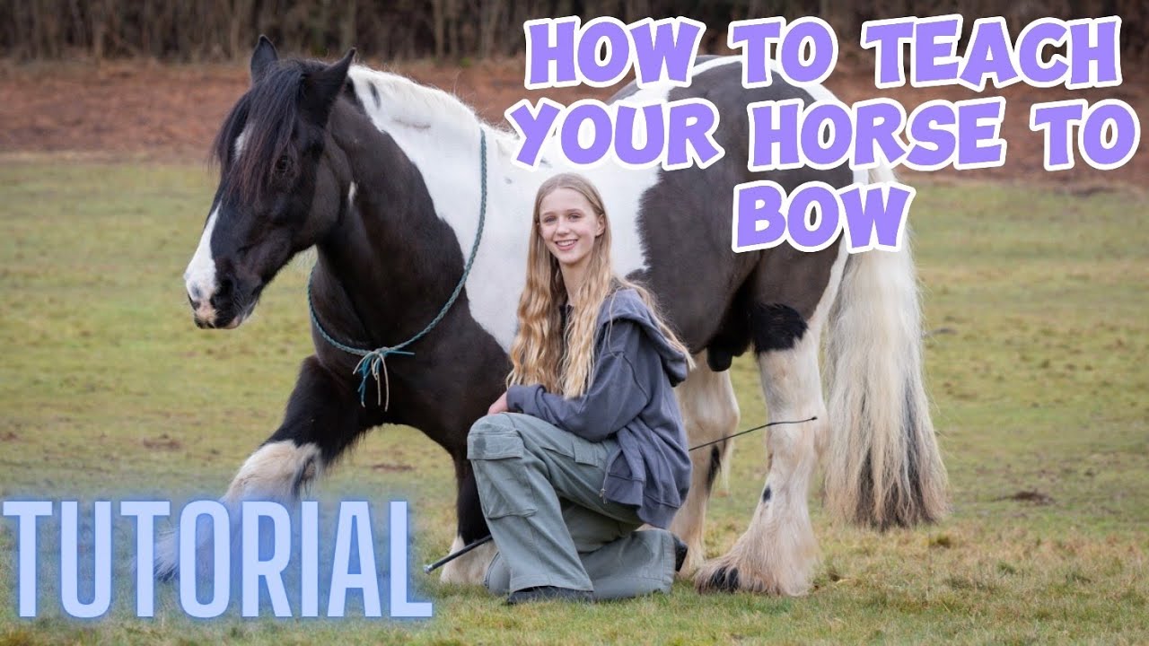 TUTORIAL- HOW TO TEACH YOUR HORSE TO BOW | Updated version