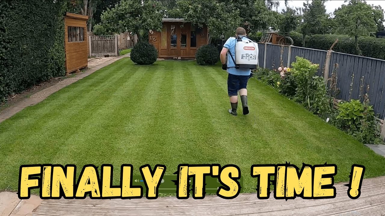 Part 10 -  Applying FEED & WEED and IRON SULPHATE On My Lawn