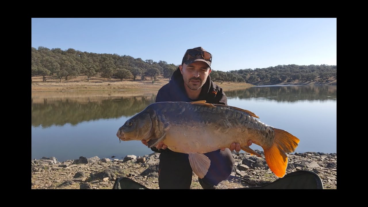 CARPFISHING OTOÑAL, CARBONERAS !!!!!!!