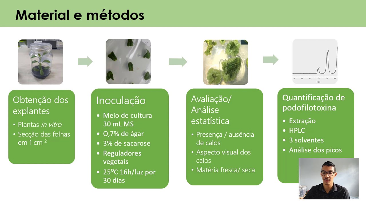 INDU&Ccedil;&Atilde;O DE CALOS PARA AUMENTO DA PRODU&Ccedil;&Atilde;O DE PODOFILOTOXINA EM ERIOPE BLANCHETII (BENTH.) HARLEY