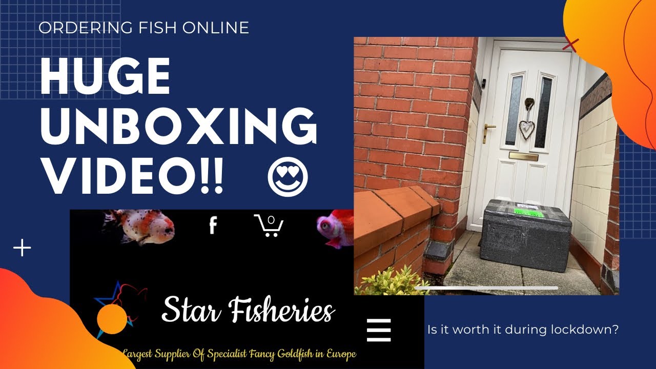 Star Fisheries - Unboxing Video & Review - Ordering Fish Online