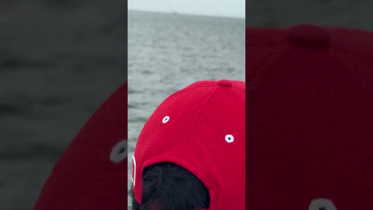 On Dolphin 🐬 Watch cruise 🚢 at Atlantic Ocean 