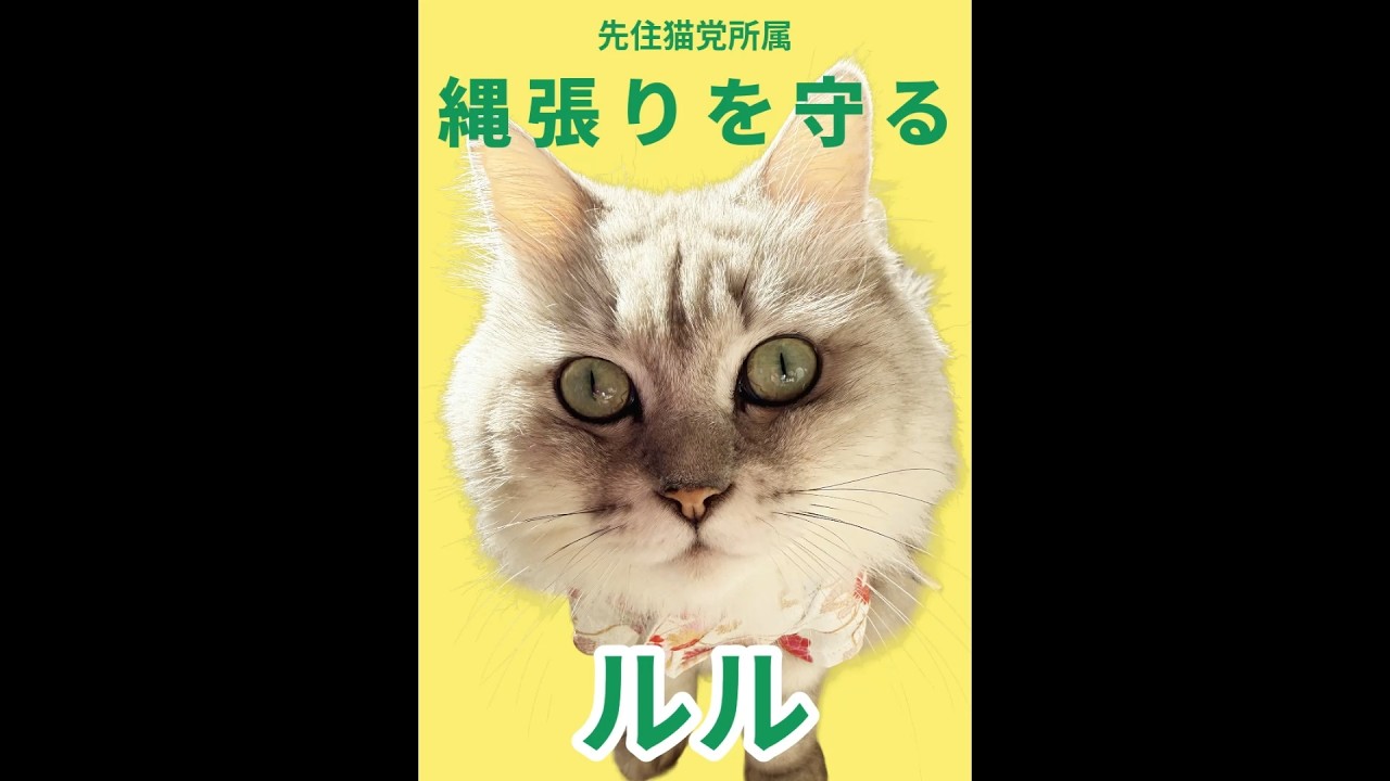 猫総勢１９匹　政見放送風２