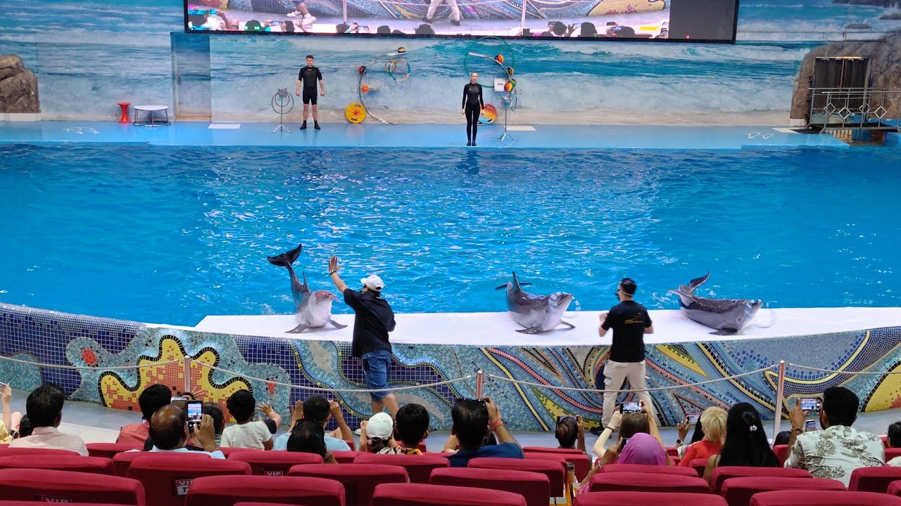 डल्फिनले मान्छे झन्डै मार्यो। 😁😍❤️Dubai dolphinarium 