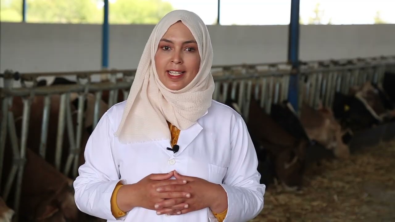 Importance de l'eau SNA.