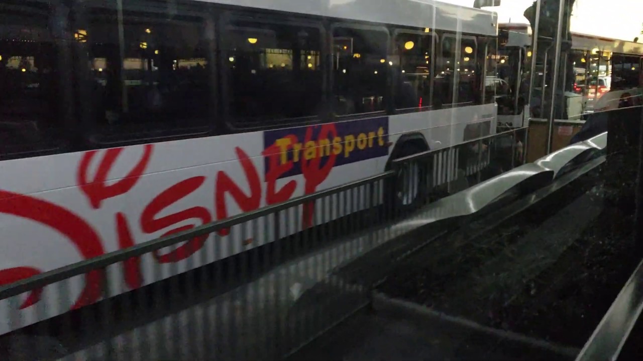 Disney bus ride from Hollywood to Magic Kingdom