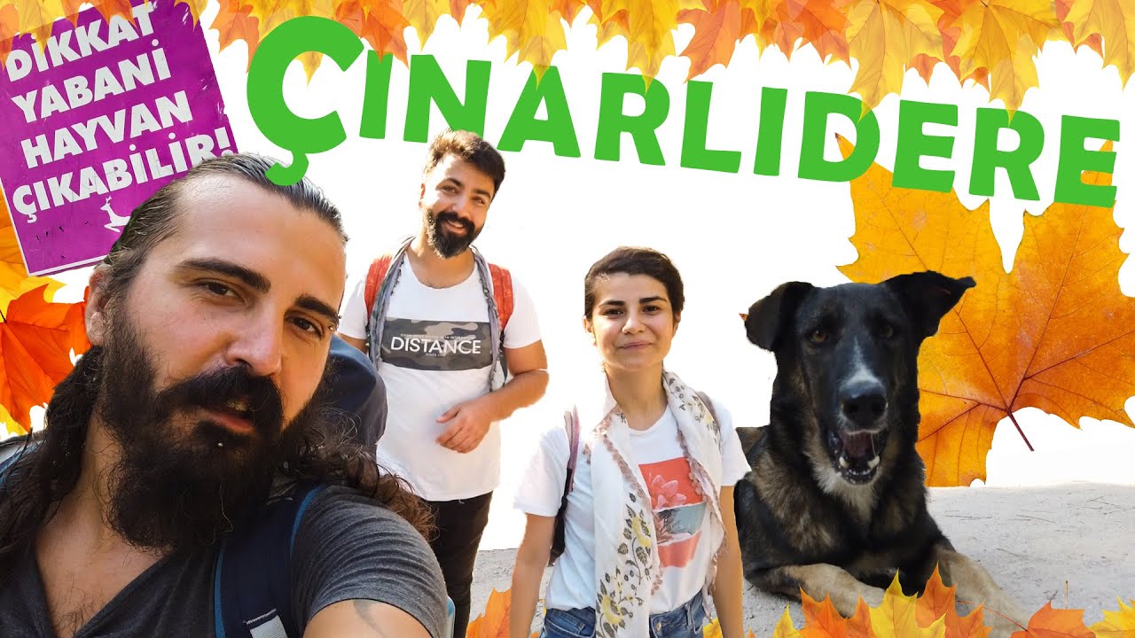ÇINARLIDERE - ŞELALE
