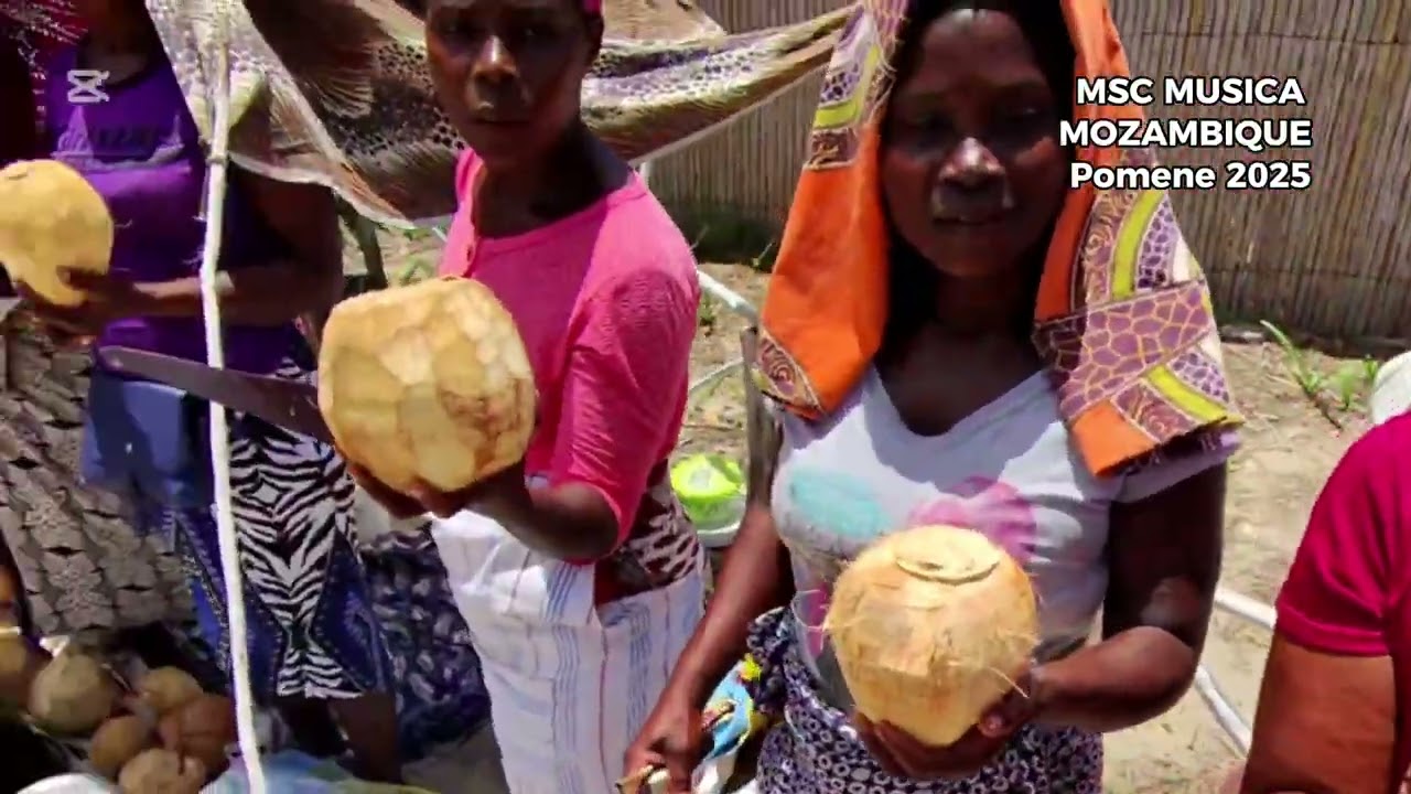 Boat ride from MSC Musica cruise ship to  Pomene Mozambique -Carvin Goldstone view