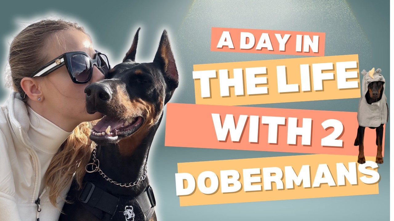 A day in the life of a dog mom | Beach Day & Bath time for my Dobermans