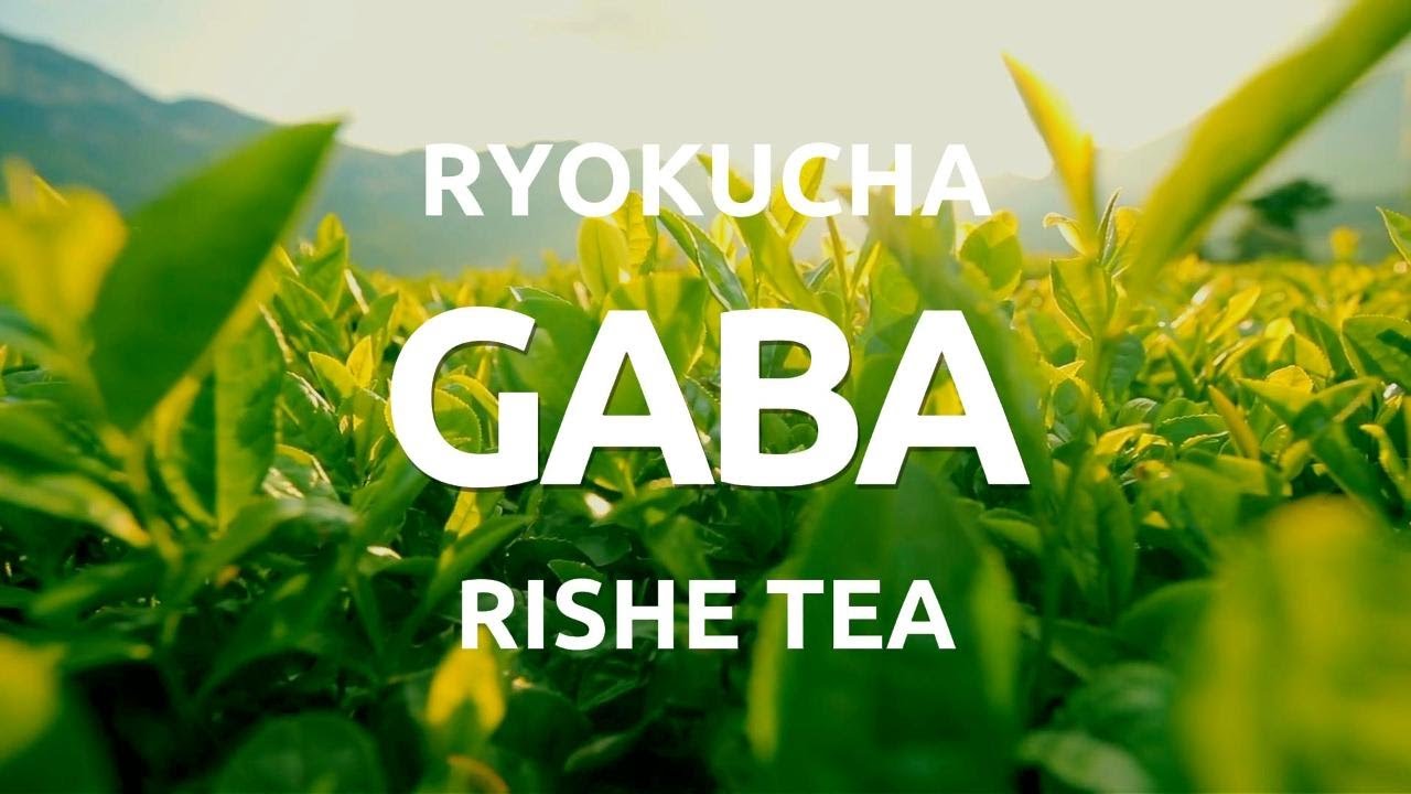 GABA RYOKUCHA - zelen&yacute; japonsk&yacute; čaj z Setoya