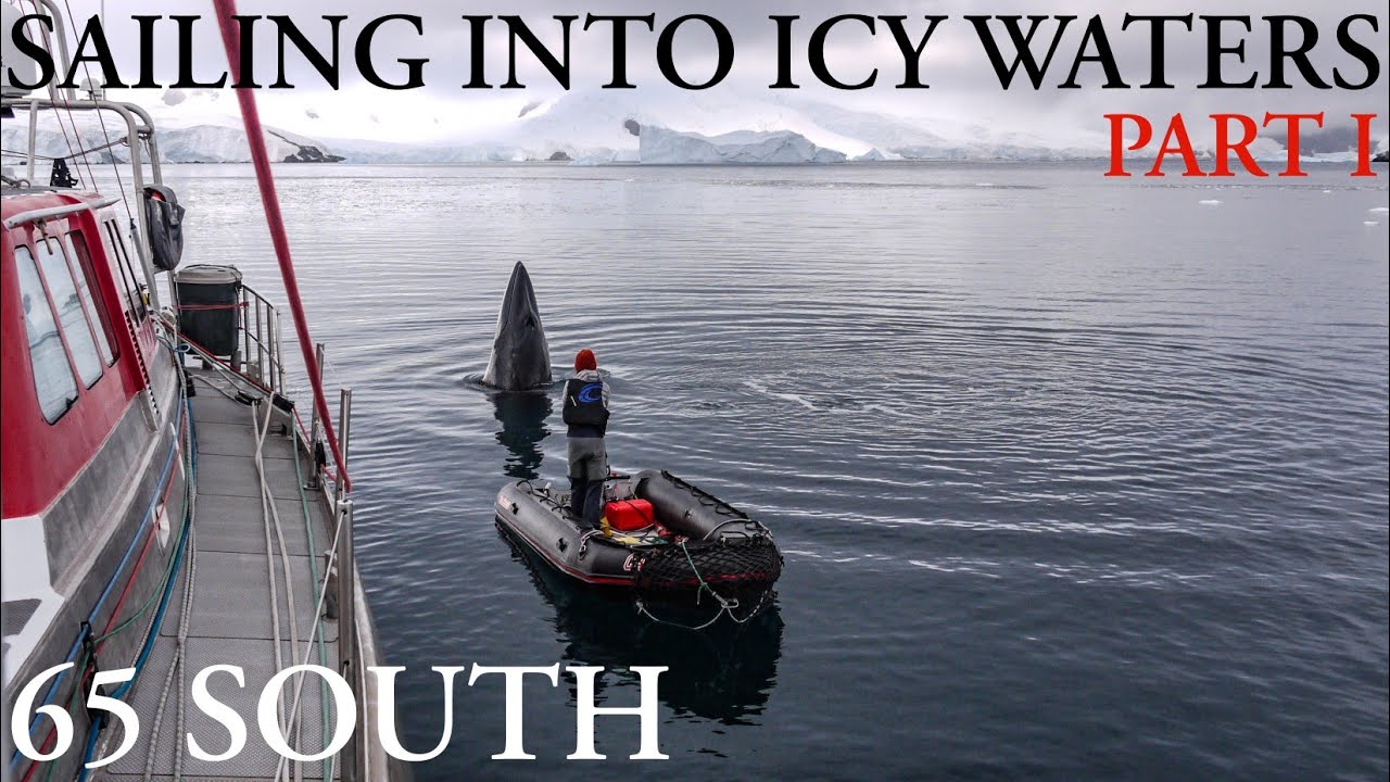⛵ AN ANTARCTIC WILDLIFE EXPERIENCE ON PELAGIC AUSTRALIS - FEB 2020 - S01E05