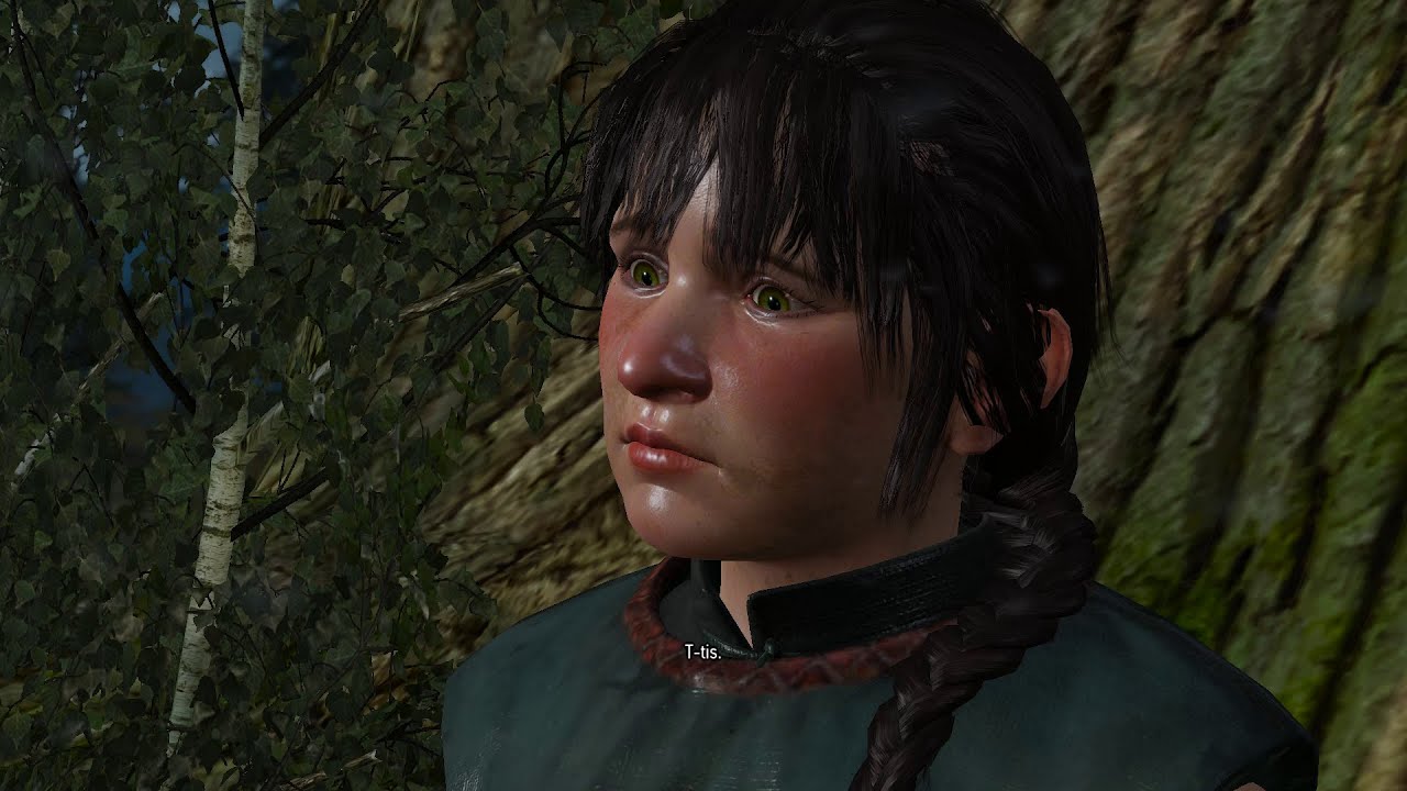 WItcher 3 - Where the Cat and the Wolf play  - Evil choices