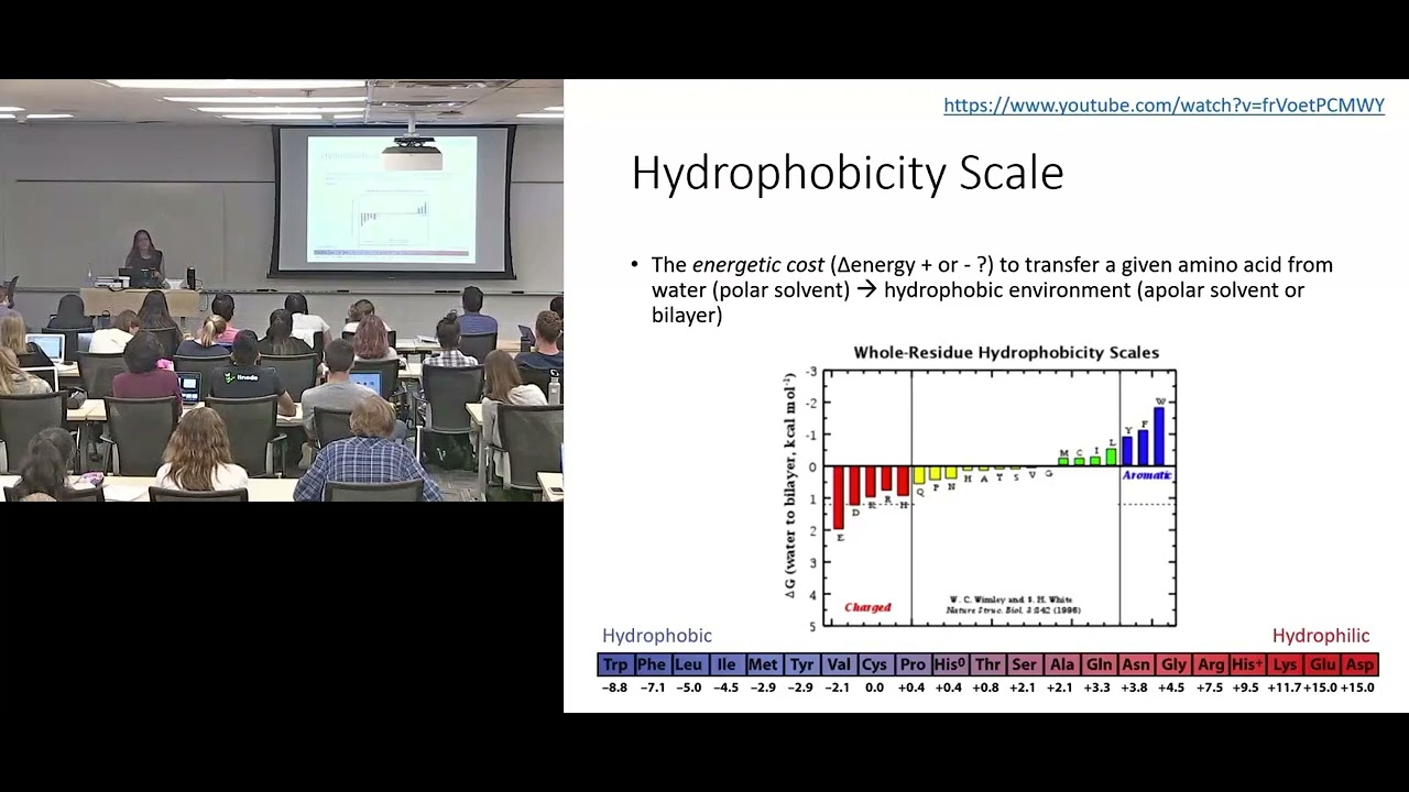 Hydrophobicity Scale Redux Better Plot Explanation