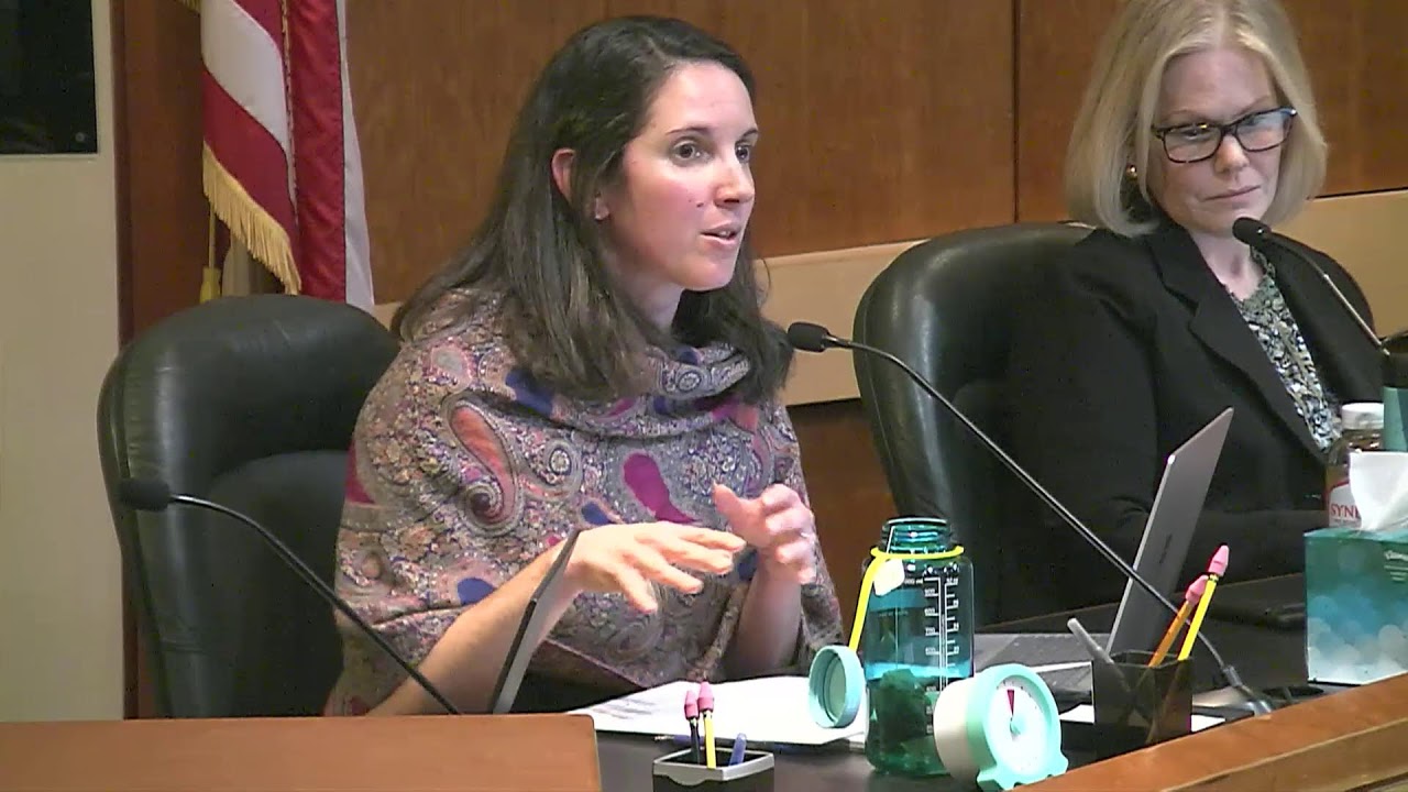Summit Common Council Meeting: February 17, 2026