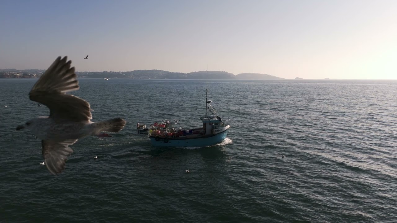Jazzy-B BM42 Paignton Crabber