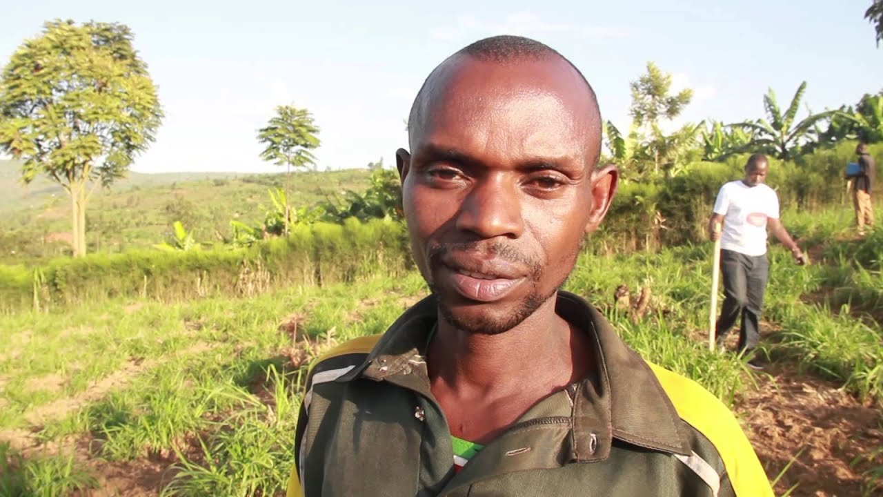 Gikomero Tree Planting