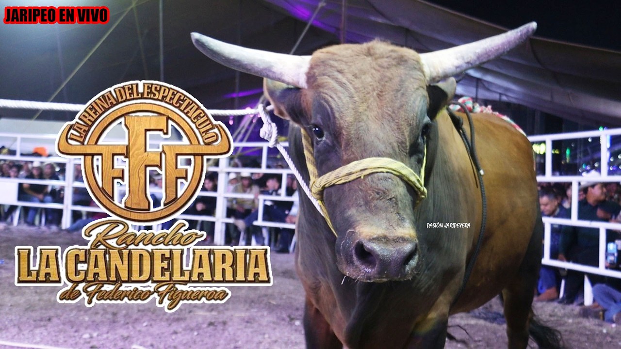 🔴 Jaripeo En Vivo 🔴 RANCHO LA CANDELARIA 27 febrero 2026 Sultepec EdoMex | Jinetes de Costa Rica