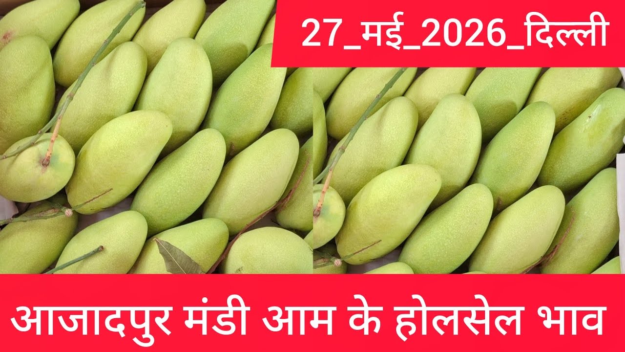 27 May 2026 दिल्ली 🥭 आम का भाव Azadpur Delhi Mandi Today Mango Market Price Aam Ka Aaj Ka Rate