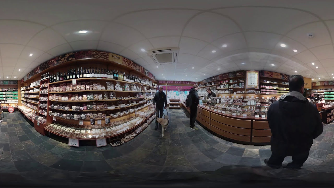 Training geleidehond | virtual reality 360° video