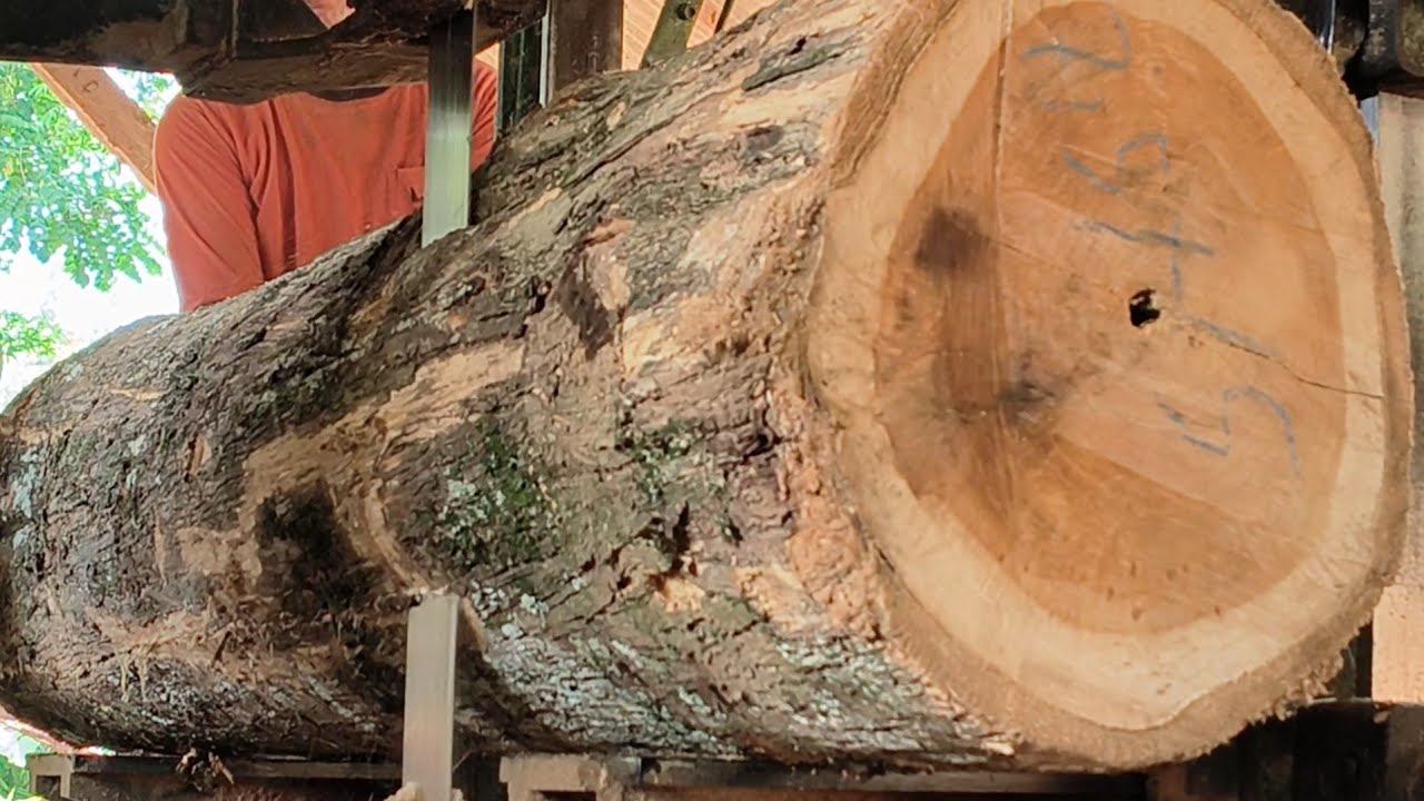 17 minutes while cutting teak wood inside a sawmill