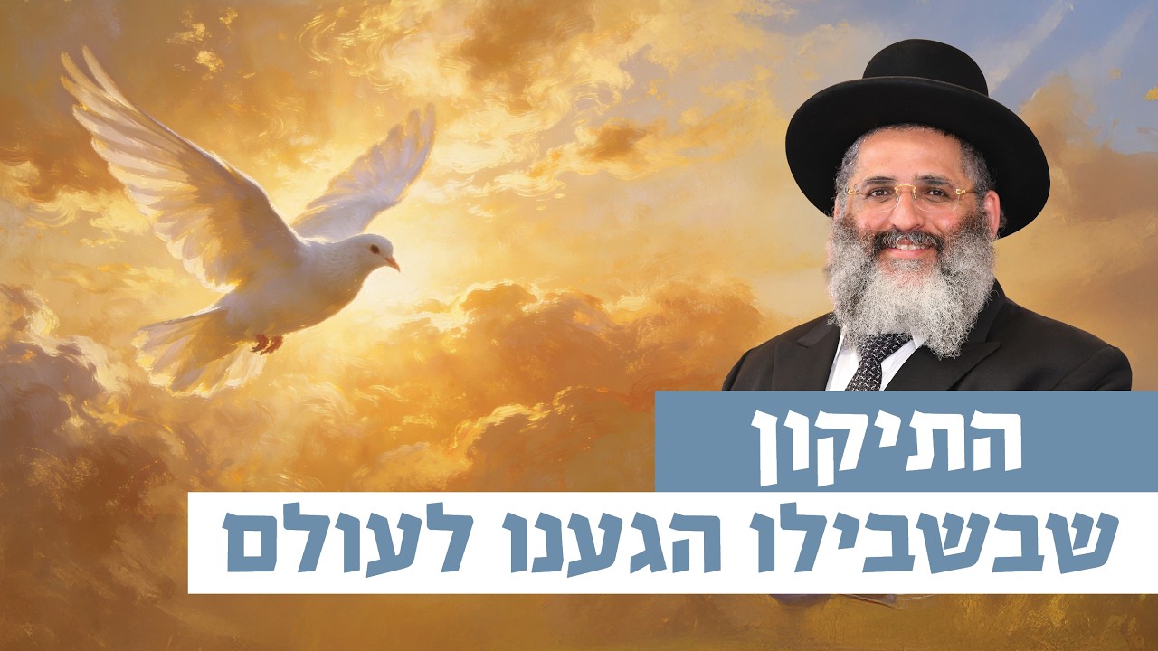 התיקון שבשבילו הגענו לעולם | רגע של אור עם מו