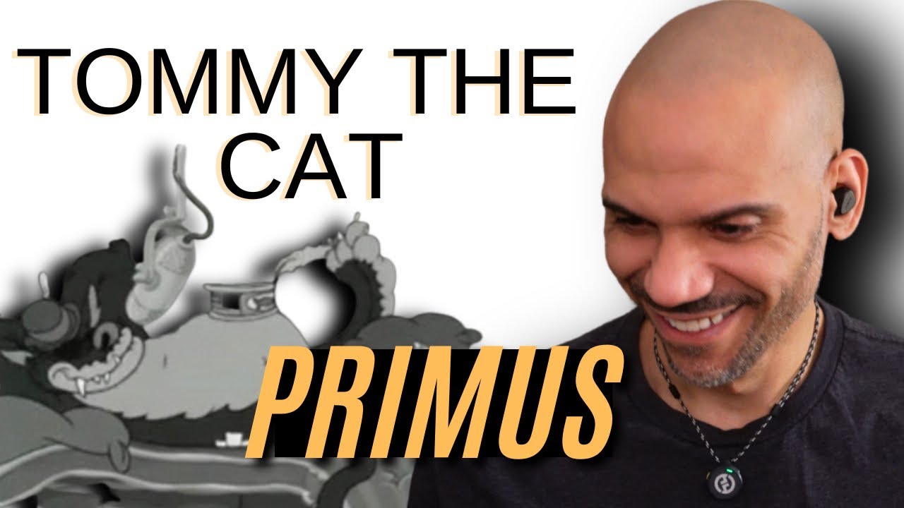 PRIMUS - Tommy The Cat - REACTION! Funky!