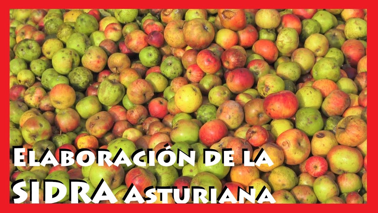 SidRA AsturiaNA ARTeSANA