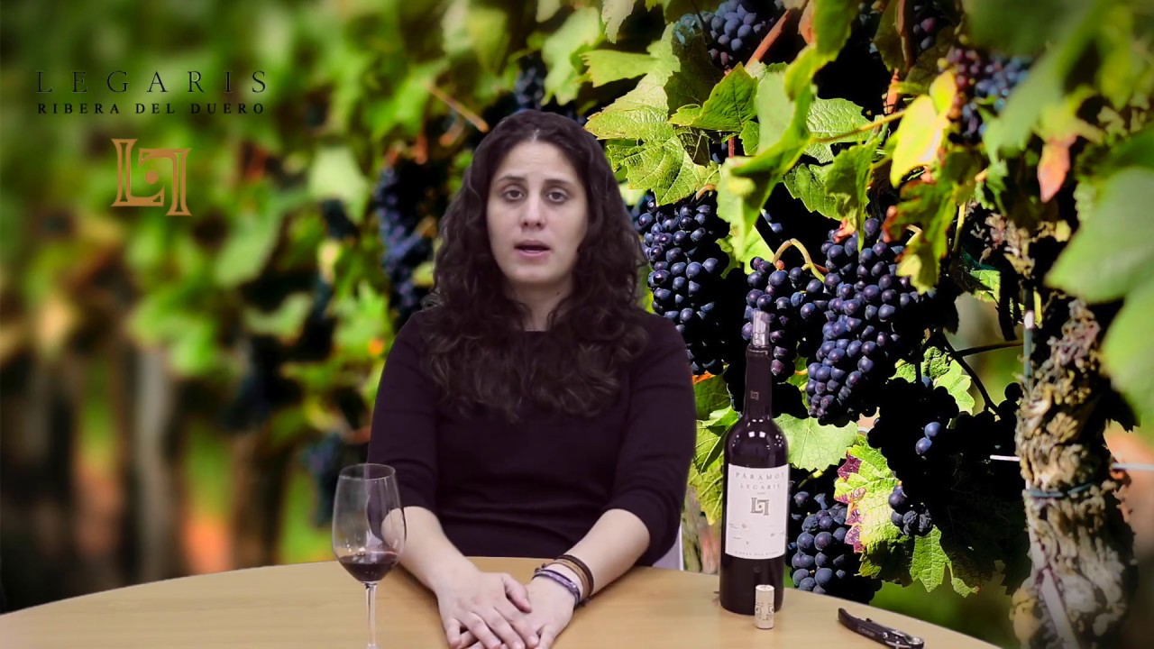 VQ: P&aacute;ramos de Legaris 2014