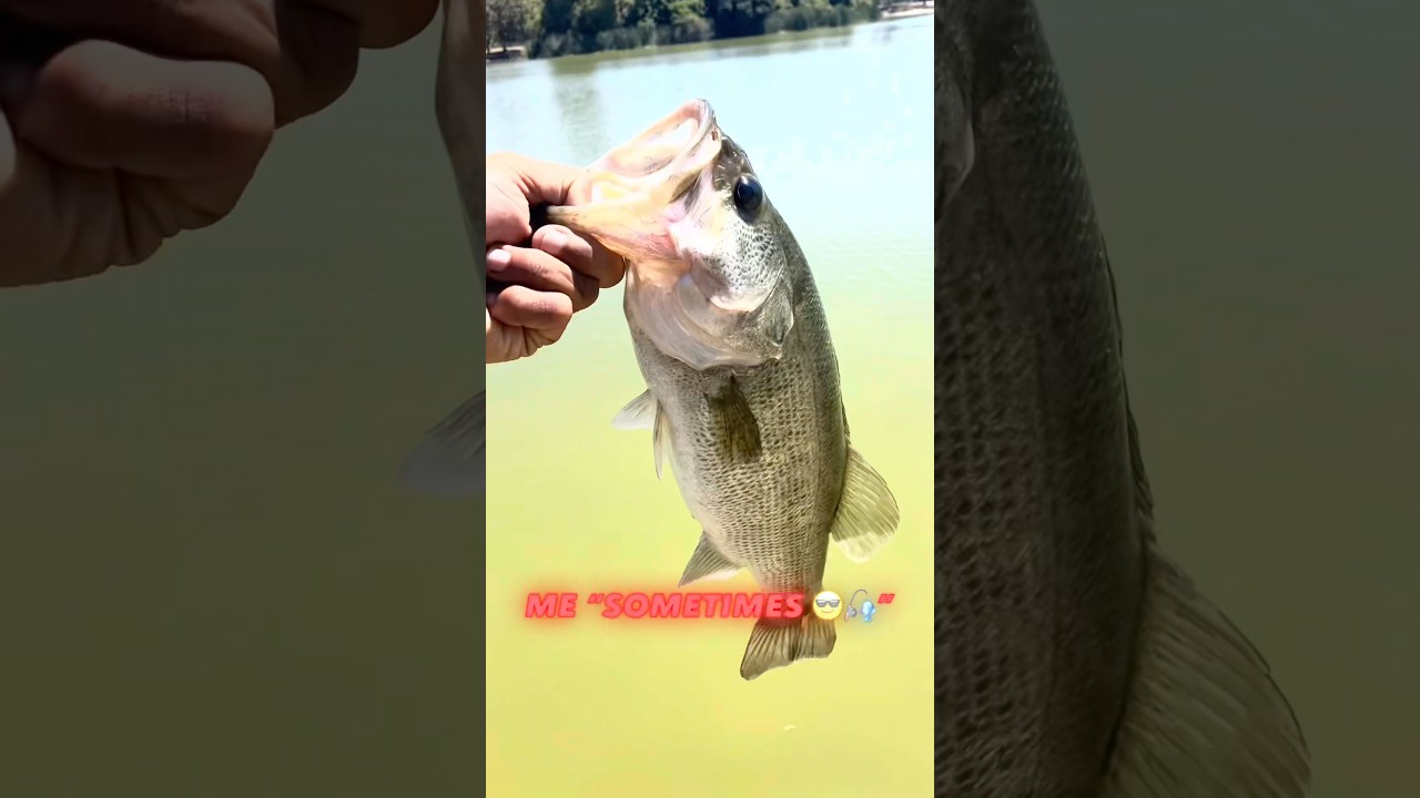 GET UP. 🎣 Motivation meets Bass Fishing &mdash; No Excuses, Just Grind.