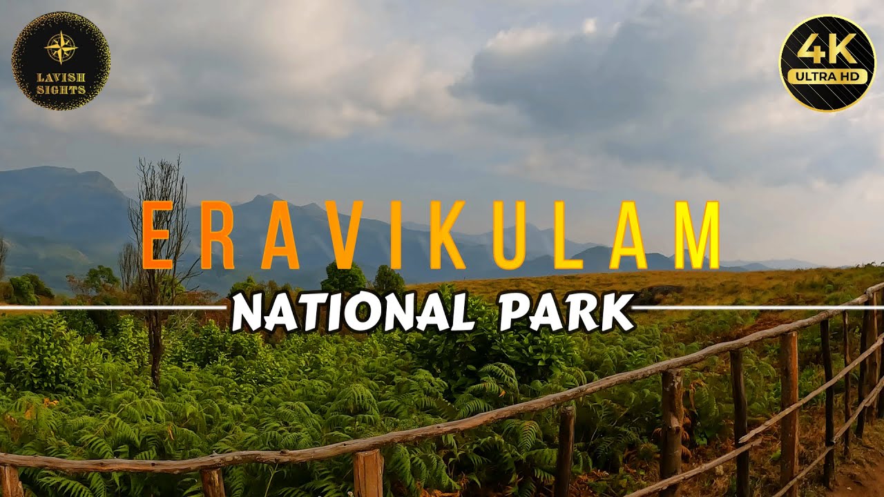 EXPLORING ERAVIKULAM NATIONAL PARK & ANAMUDI HILLS | MUNNAR | EP - 2 | LAVISH SIGHTS