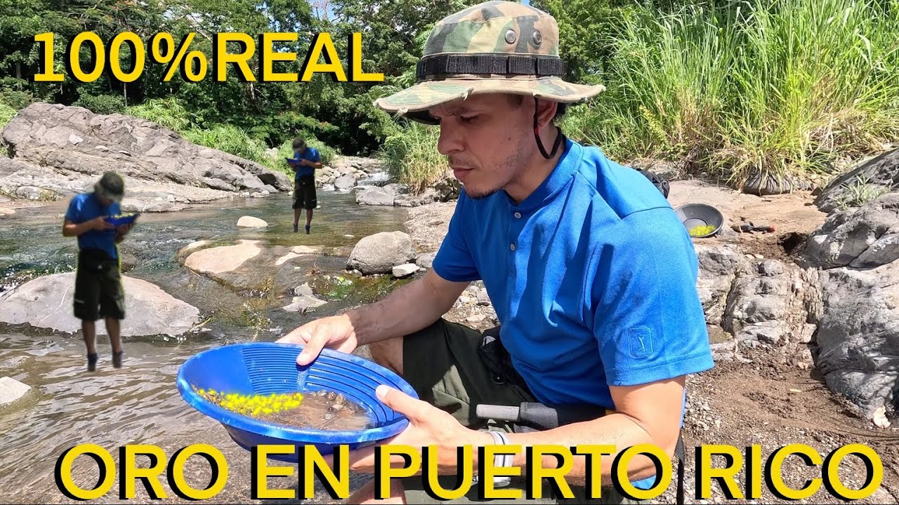 ORO EN los ríos de PuertoRico 100%real #gold #goldfever #isladelencanto #adventure 